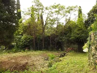 Недвижимость Дом, Сеча, Порторож: 12