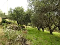 Недвижимость Дом, Сеча, Порторож: 15