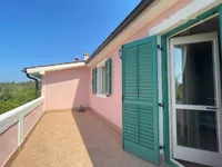 Недвижимость Дом с террасой в Портороже: 13