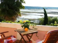 Недвижимость Дом с террасой в Портороже: 14