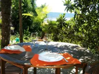 Недвижимость Дом с террасой в Портороже: 19