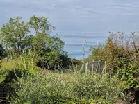 Недвижимость Дом Двойчек в Портороже: 6