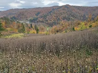 Недвижимость Усадьба 'Кметияново Добрава': 6