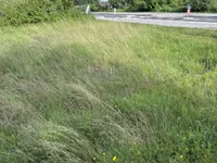 Недвижимость Участок, Застраиваемый ЛЮБ. ВИЧ.: 2