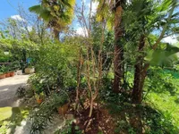 Недвижимость Двухкомнатная квартира в центре: 17