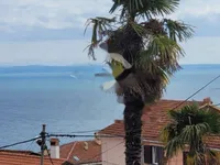 Недвижимость Семейный дом в Побри, Опатия: 6