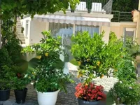 Недвижимость Однокомнатная квартира, Опатия: 7