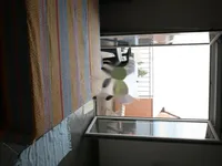 Недвижимость Семейный дом 390 м², Ичичи: 23