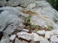 Недвижимость Семейный дом 390 м², Ичичи: 34