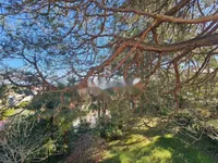 Недвижимость Семейный дом 213 м² в центре Опатии: 4