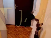 Недвижимость Трехкомнатная квартира в центре Опации: 13