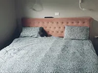 Недвижимость Четырехкомнатная квартира в центре Опатии: 7