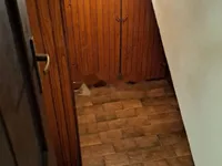 Недвижимость Дуплекс 196 м², Ичичи, Ика: 28