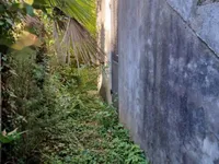 Недвижимость Трёхкомнатная квартира, Центр: 6