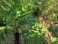 Недвижимость Трёхкомнатная квартира, Центр: 10