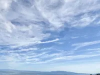 Недвижимость Трехкомнатная квартира центр: 13