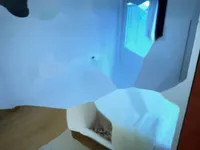 Недвижимость Трехкомнатная квартира, Центр: 12