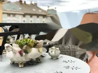 Недвижимость Четырехкомнатная квартира в Опатии: 5