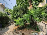 Недвижимость Квартира в центре Опатии: 23