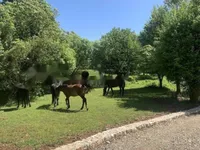 Недвижимость Новое жилое здание, Центр: 24