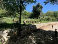 Недвижимость Новое жилое здание, Центр: 25