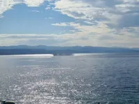 Недвижимость Двухкомнатная квартира, центр: 1