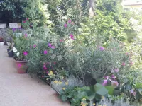 Недвижимость Апартаменты Центр Опатия: 22