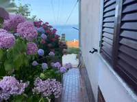 Недвижимость Двухкомнатная квартира в центре: 11