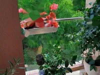 Недвижимость Трёхкомнатная квартира, Центр: 14