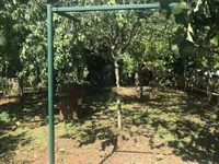 Недвижимость Семейный дом в Опатии: 23