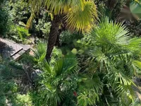 Недвижимость Дом в центре Опатии: 3