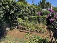 Недвижимость Семейный дом 377 м², Центр, Опатия: 16