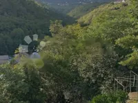 Недвижимость Семейный дом, центр Опатии: 25