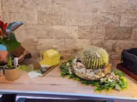 Недвижимость Двухкомнатная квартира в центре: 12