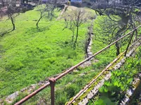 Недвижимость Семейный дом 146 м², Запад, Опатия: 1