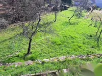 Недвижимость Семейный дом 146 м², Запад, Опатия: 4