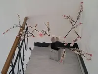 Недвижимость Четырёхкомнатная квартира, Центр: 10