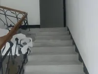 Недвижимость Четырёхкомнатная квартира, Центр: 22