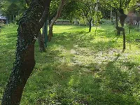 Недвижимость Трёхкомнатная квартира в центре: 6