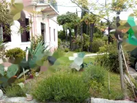 Недвижимость Трехкомнатная квартира, центр: 2