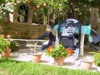 Недвижимость Трехкомнатная квартира, центр: 4