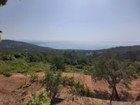 Недвижимость Семейный Дом 209 м², Центр, Опатия: 16