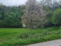 Недвижимость Семейный дом 170 м², Центр Опатии: 10