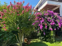 Недвижимость Семейный дом 350 м² в Центре: 1