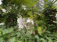 Недвижимость Семейный дом в центре Опатии: 1