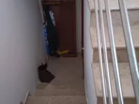 Недвижимость Двухкомнатная квартира в центре: 16