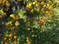 Недвижимость Трехкомнатная квартира в центре: 4