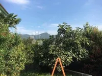 Недвижимость Трехкомнатная квартира в центре: 20