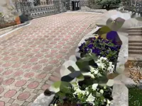 Недвижимость Дом в Побри, Воложско: 7