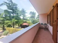 Недвижимость Четырехкомнатная квартира Новое Плавье: 28